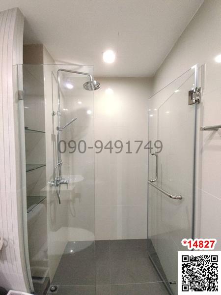 เช่า คอนโด TREE CONDO LUXE สุขุมวิท 52 ห้องตกแต่งสวย ใกล้ BTS อ่อนนุช