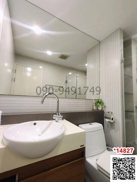 เช่า คอนโด TREE CONDO LUXE สุขุมวิท 52 ห้องตกแต่งสวย ใกล้ BTS อ่อนนุช