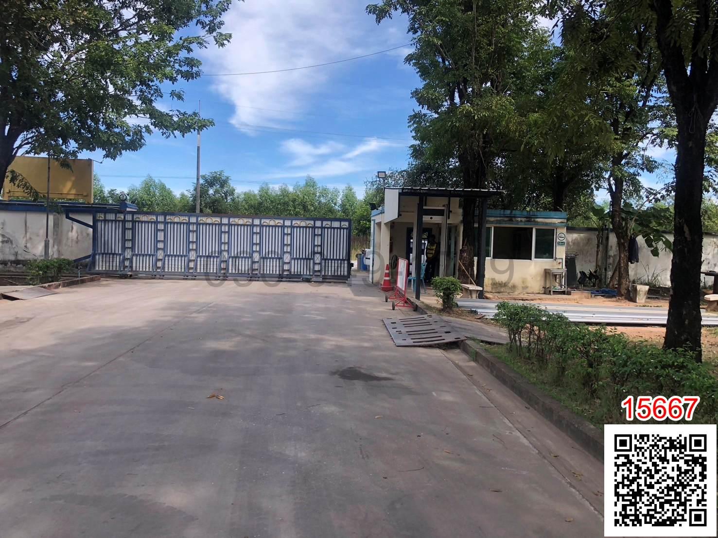 เช่า โรงงาน จังหวัดปราจีนบุรี อำเภอนาดี พร้อมใบอนุญาตประกอบกิจการโรงงาน (น้ำไม่ท่วม)