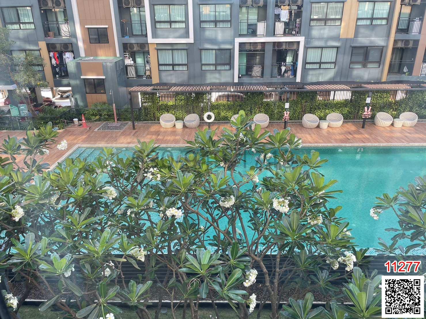 เช่า คอนโด I Condo Green Space Sukhumvit 77 เฟส 1 วิวสระ ตึก A ห้องตกแต่งสวย