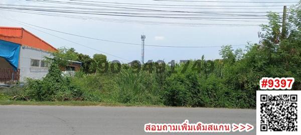 ขาย ที่ดิน 2 ไร่ สามพราน จังหวัดนครปฐม 